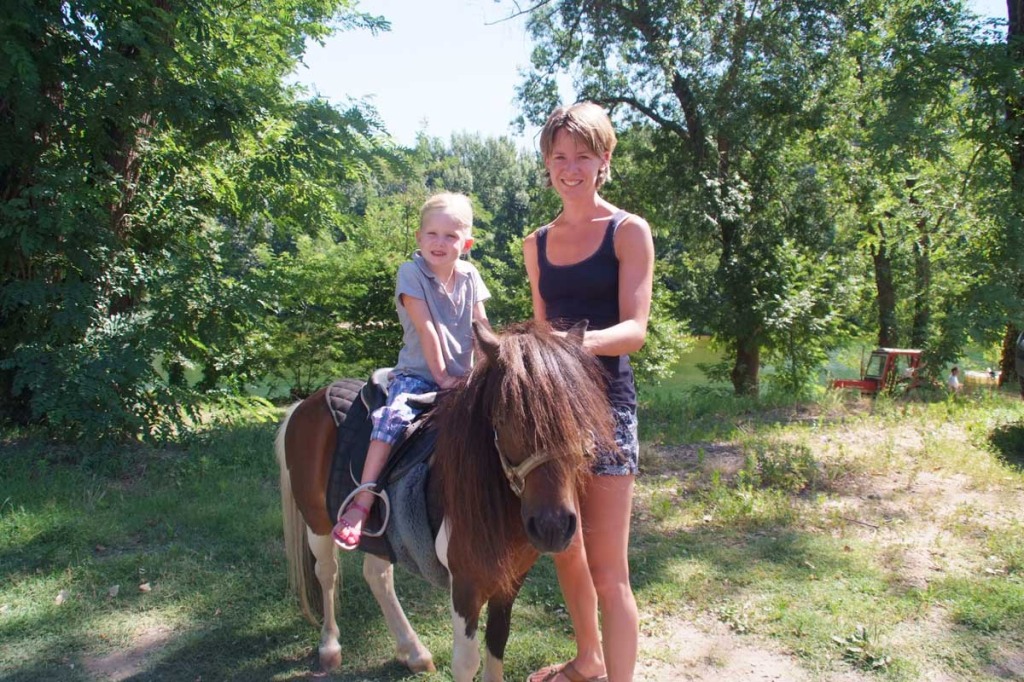 Paardrijden / pony ritjes
